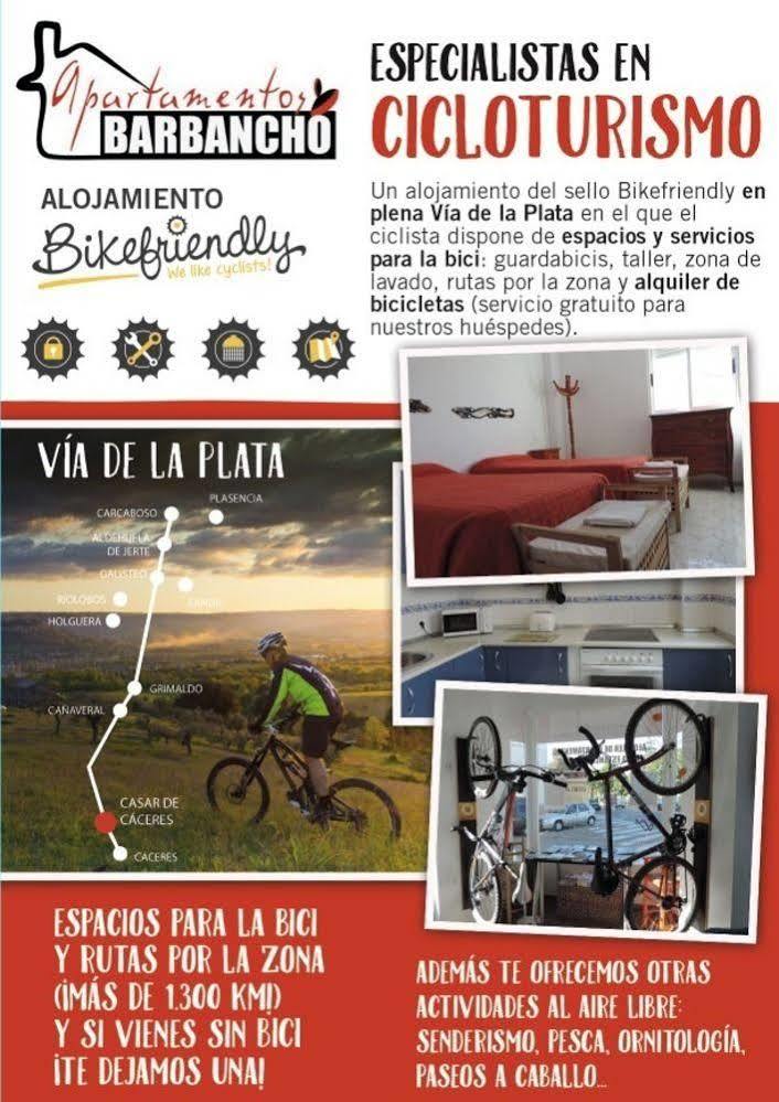 Casa Conde De Santa Olalla Caces Kültér fotó